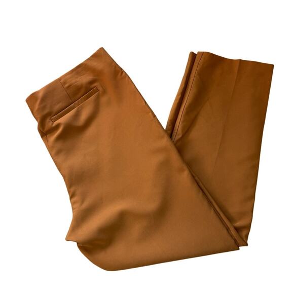 New ADRIANNA PAPELL Women's Terracotta Pull-on Straight Leg Pant Size 14 - Picture 2 of 4
